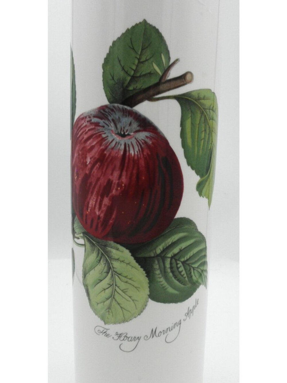 Pomona by Portmeirion Pasta Canister  Pattern Code: PRTPOM Hoary Morning Apple - Picture 8 of 14